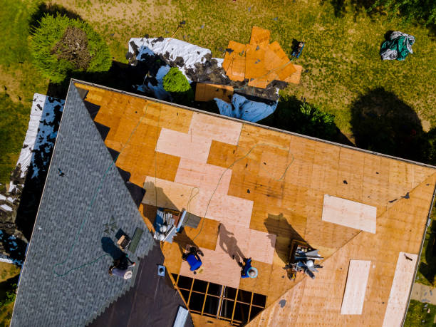 Professional Roofing Contractor in Crockett, TX