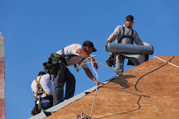Best Metal Roofing Contractor  in Crockett, TX