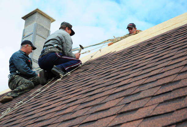 Best Roof Gutter Cleaning  in Crockett, TX