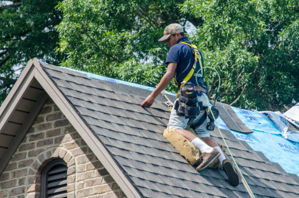 Roof Gutter Cleaning in Crockett, TX